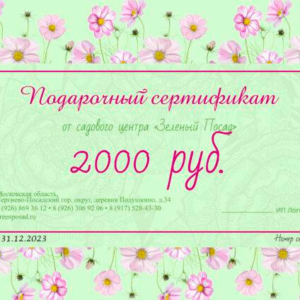 подарочный сертификат